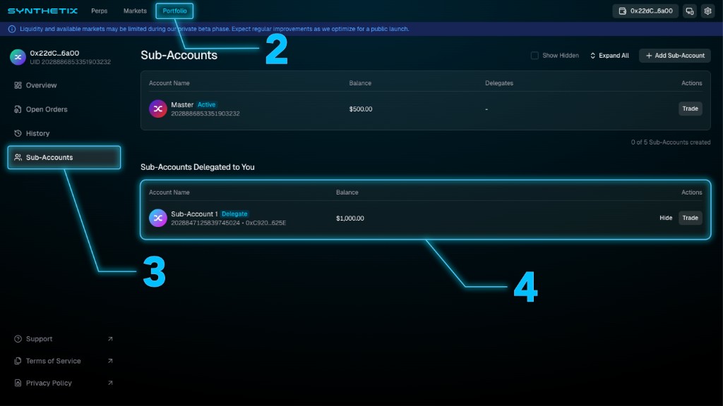 Portfolio Sub-Accounts page with Sub-Accounts Delegated to You and Delegate badge on a sub-account row