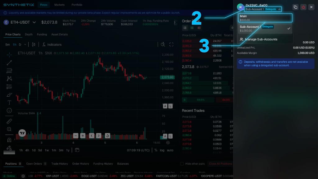 Account sidebar with Main and delegated Sub-Account entries, Delegate badge, and manage sub-accounts link