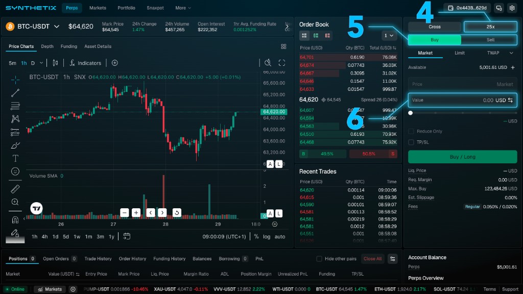 Synthetix Order Entry panel with callouts marking the 25x leverage control, Buy tab selected, and Value field for entering position size.